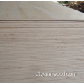 B/c de madeira compensada com madeira de pinhão de grau